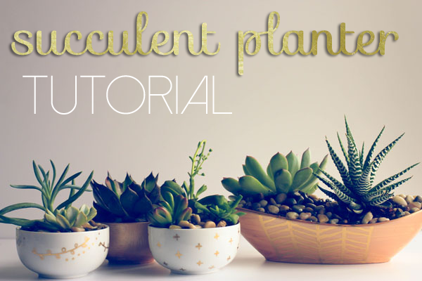 Succulent-Planters